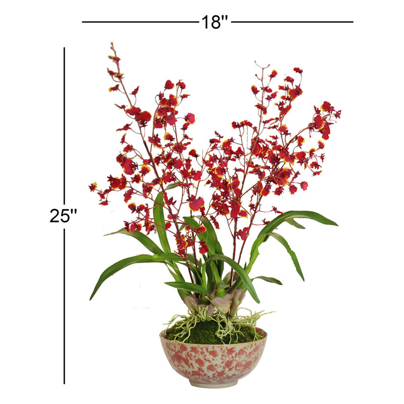 Arrangement floral orchidées dans un pot de fleurs