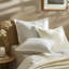 Egyptian Cotton Sateen Euro Sham-1561462715