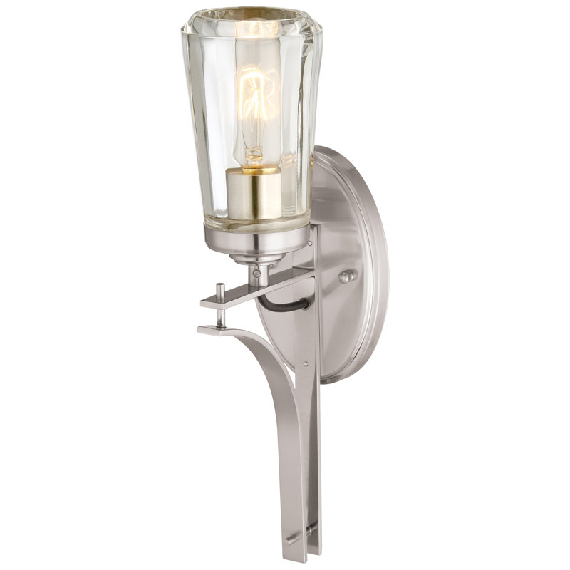 Brayden Studio Omeara Brushed Nickel With Clear Vanity Light