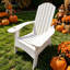 Fauteuil Adirondack Ehomexpert Populus-130139069-130139071