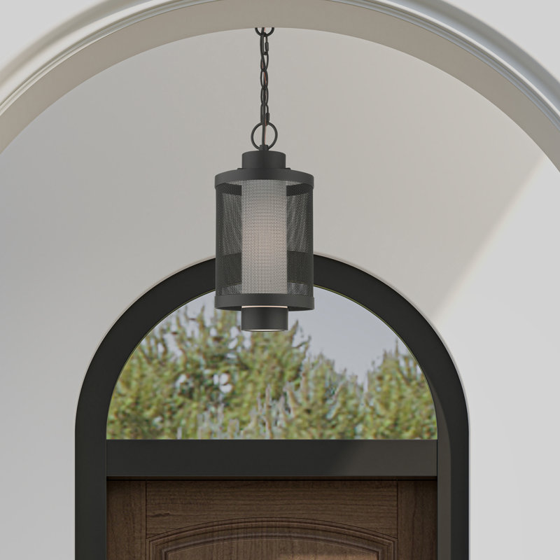 Lanterne suspendue d'extérieur Zebra, H 16,87 po x l 9 po x P 9 po, Noir texturé