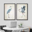 Élégantes illustrations côtières aviaires dans des tons neutres, art moderne, décor boho calme-99015594-99015595