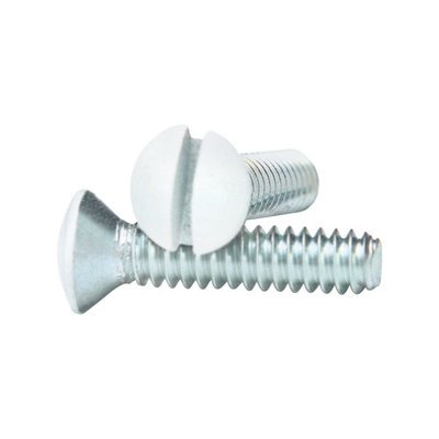 Stainless Steel Wall Plate Screws