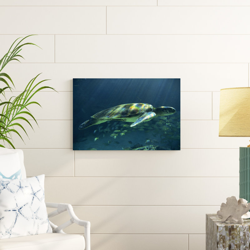 Tortues de mer Égée I, H 20 po x l 30 po x P 1 po