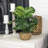 22'' Faux Philodendron Plant in Wicker/Rattan Basket