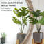 Miroir mural Rustic