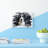 Border Collie Dog - Single Picture Frame Rectangle Print on Canvas-23697324-23165879