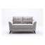 Canapé deux places Callie 60" en velours gris pâle avec coussins capitonnés et siège à ressorts ensachés