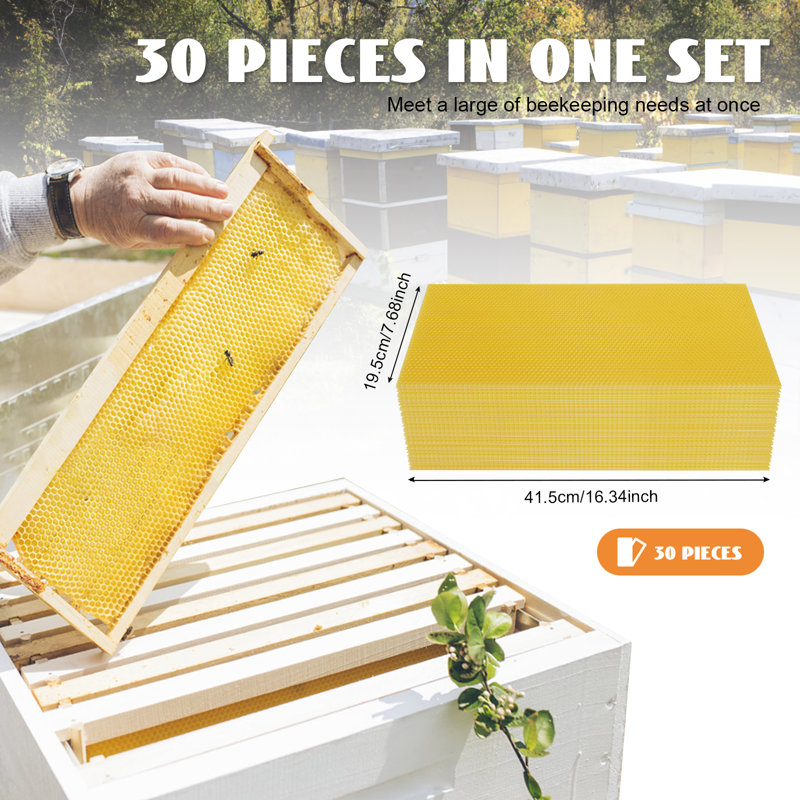 30 pièces Honeycomb Foundation Beewax Honey Bee Hive