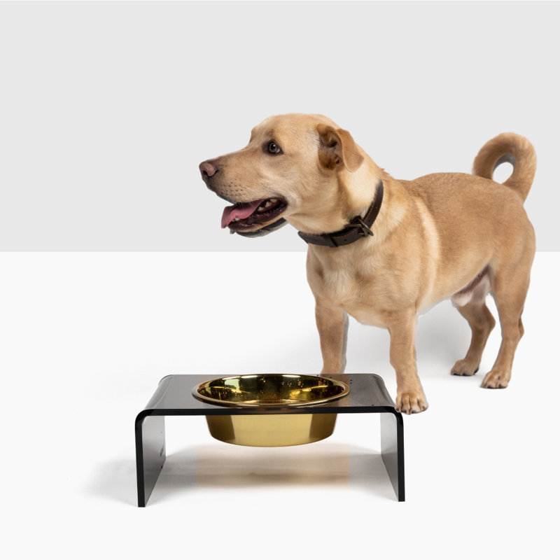 Single Bowl Elevated Feeder with Bowl, Smoke Grey, Gold
