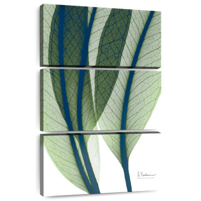 Harnek Vibrant Botanicals I