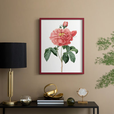 «Botanical Beauty III», reproduction encadrée - bois massif