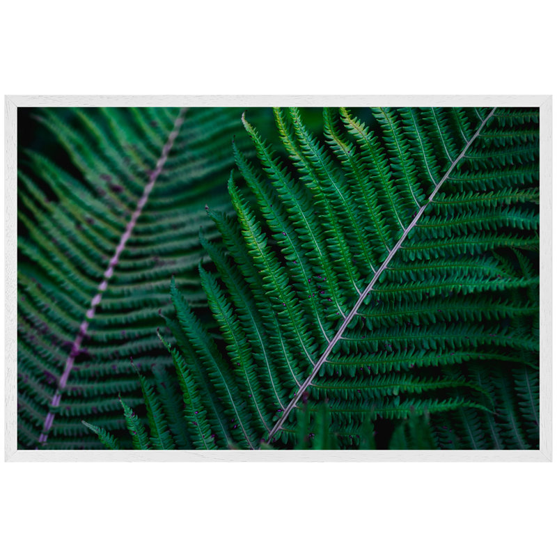 Ekalaka Single Picture Frame Print, 76cm H x 114cm W x 4cm D, White Framed