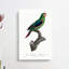 Swift Parrot by F. Levaillant - Wrapped Canvas-55358713