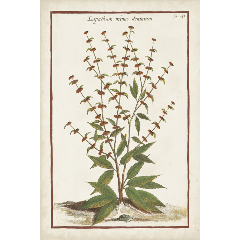 Munting Botanicals III, H 30 po x l 20 po