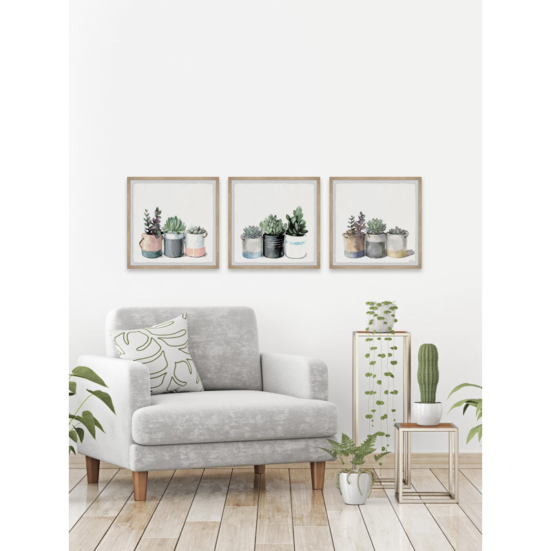« cacti collection »-ensemble de 3 reproductions de photos encadrées sur papier, H 12 po x l 12 po x P 1,5 po, Brun