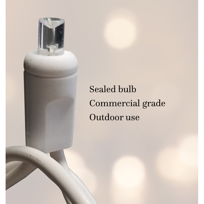 Harworth Indoor 80 - Bulb 39.5'' Plug-in LED Wide Angle LED String Light, White, Warm white