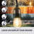 Kurt Outdoor 16 - Bulb 48'' Plug-in LED String Light