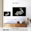 Poisson Betta blanc Brampt-108736151
