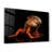 Elegant Tempered Glass Wall Art Painting, 13.8 x 21.7 inches | 100% Tempered Glass, Thickness: 0.16 inches | UV Printed for Vibrant Colors | Perfect for Home Decor, Living Room, & Office Spaces