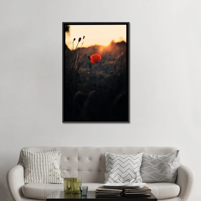 « dépilé », reproduction de photo sur toile, H 26 po x l 18 po x P 1,5 po, Toile avec cadre flottant noir, Pas de tapis