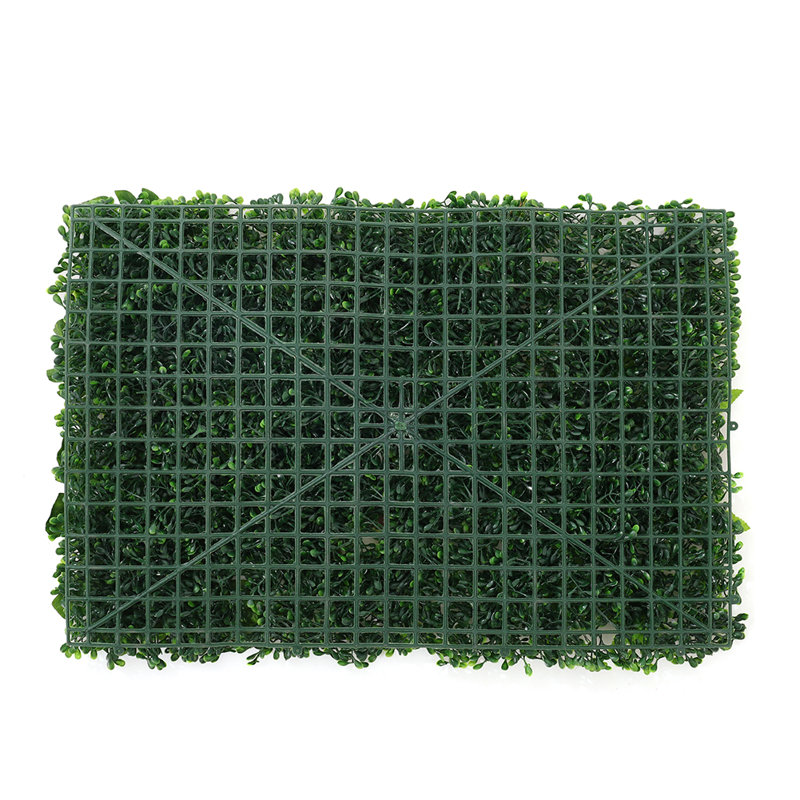 60cm Plant