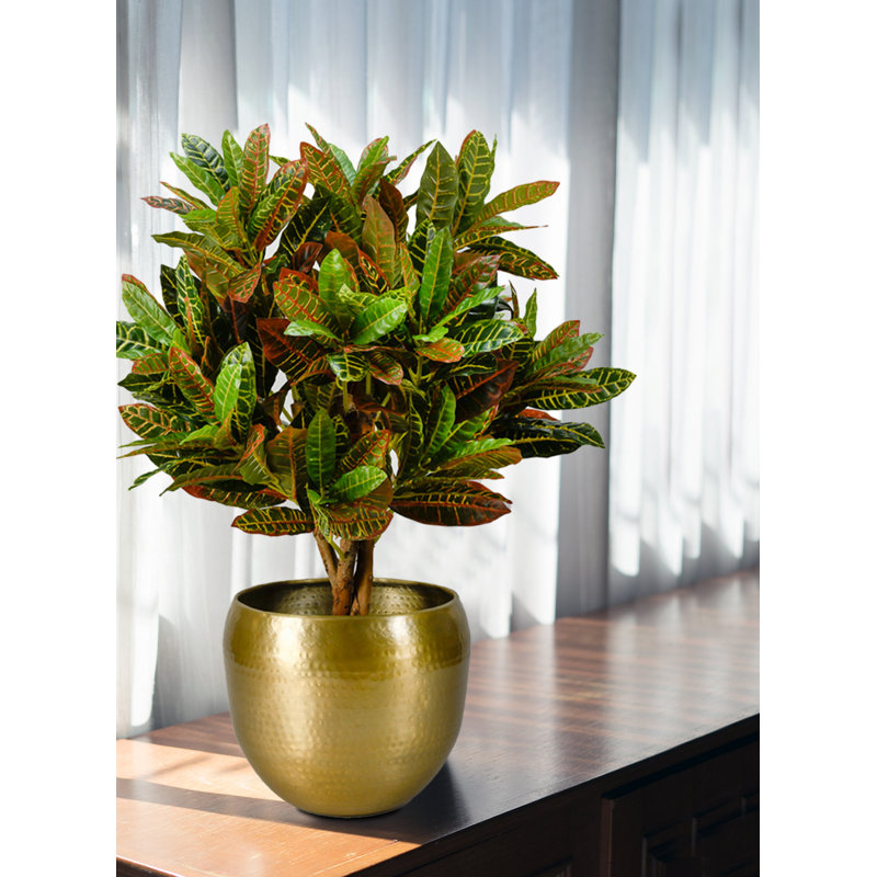 Raaghav Metal Cachepot, 10.50" H x 13" W x 13" D