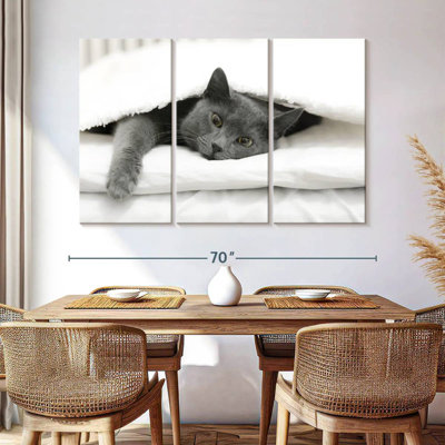 Chat paresseux
