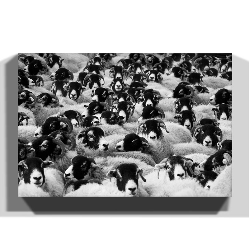 Wrapped Canvas Print, 50cm H x 76cm W