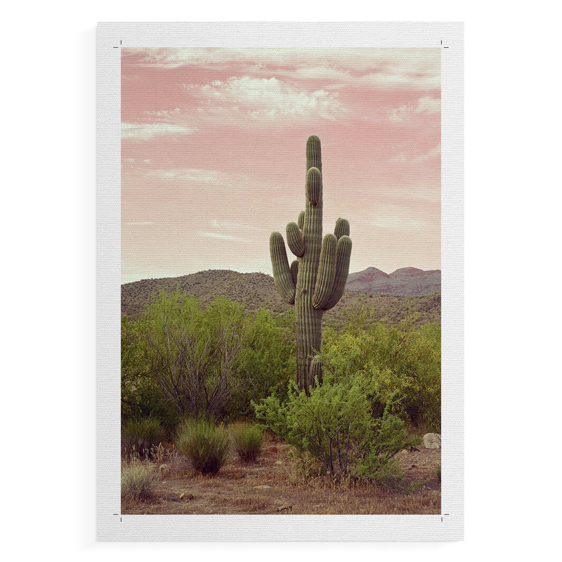 Désert de l'Arizona - impression sur toile seulement - non encadrée, H 27 po x l 18 po