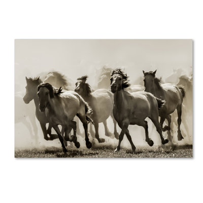 « cheval », reproduction de photo sur toile tendue