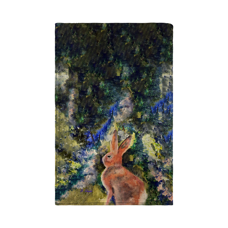 Dish Cloth Kitchen Towel