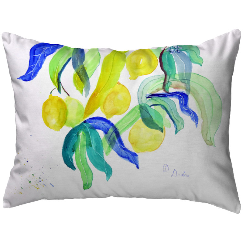  Housse et insert de coussin rectangulaire d'extérieur Lemon Tree, 16 po x 20 po