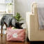 Bac pour animaux Paw-432920690-432920691