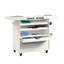 Chariot artisanal traditionnel, finition blanche