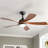 Damecia 52'' Modern Ceiling Fan with LED Light and Remote Control-123175726