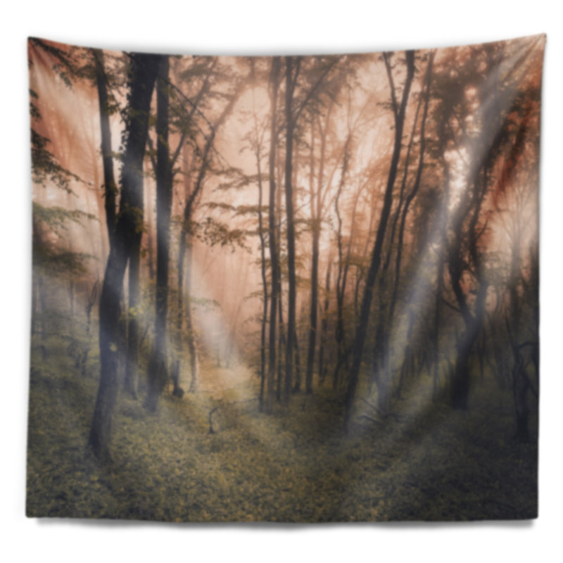 Tapisserie forêt dark old spring Landscape, H 50 po x l 60 po