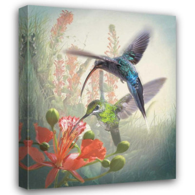 Art sur toile tendue par Winston Porter Quintero, Sonja Gallery, Hummingbird Cycle I