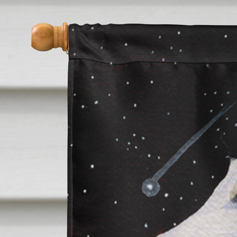 Polyester à 2 côtés 40 x 28 po drapeau maison Borzoi