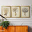 Esper Sea Fans IV - ensemble de 3 peintures sur toile encadrées-1921270022-1921270025