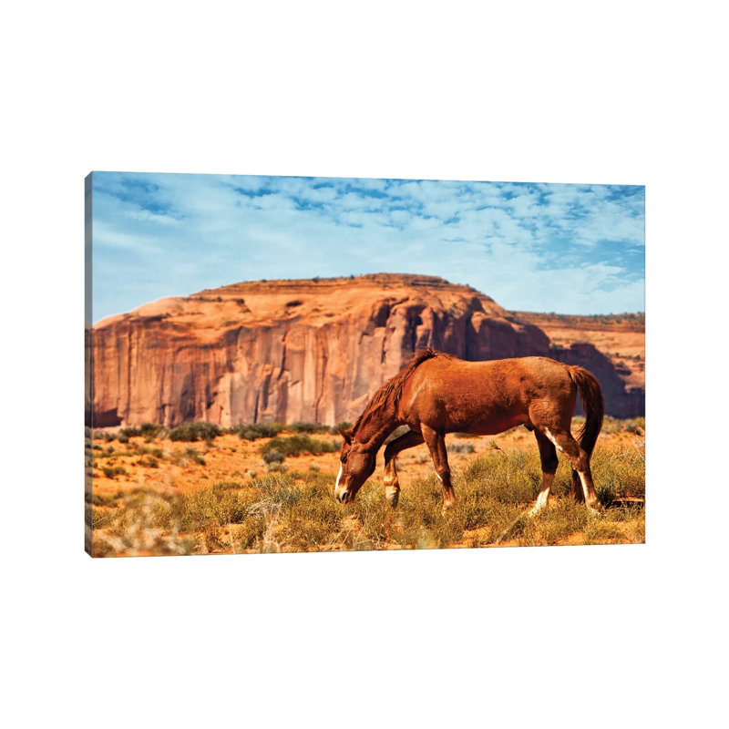 Horse In Utah Desert by Susan Richey - Gallery-Wrapped Canvas Giclée on Canvas, Canvas, 20.32 cm H x 30.48 cm W