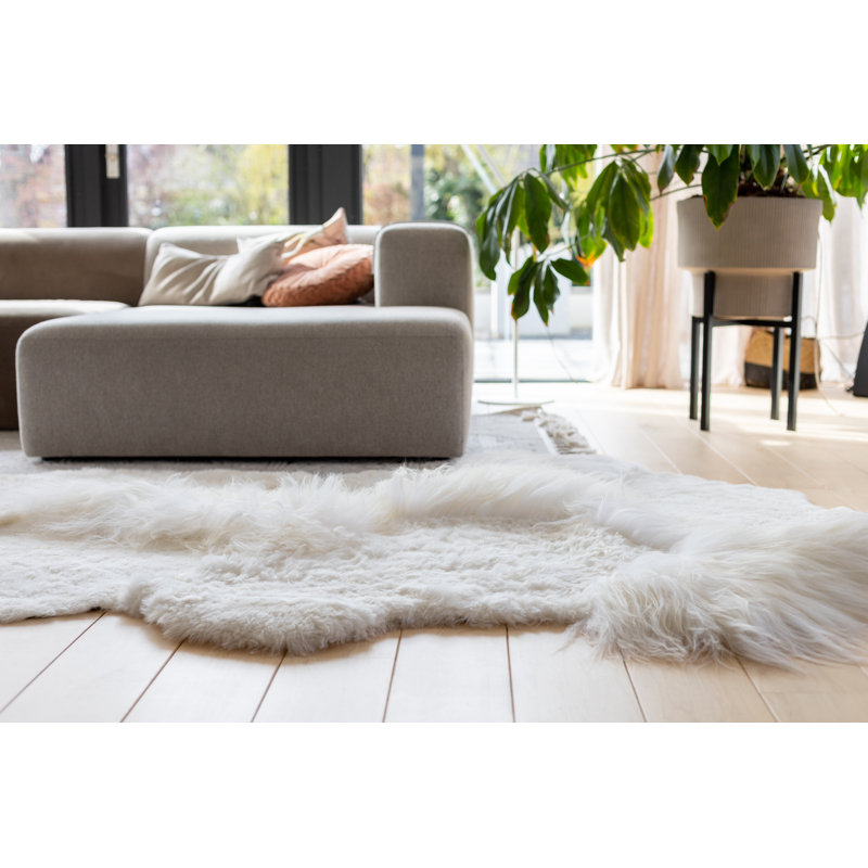 Anacia Solid Colour Sheepskin Hand Woven 120cm X 180cm Area Rug