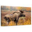 Crowle Mighty Alaskan Moose