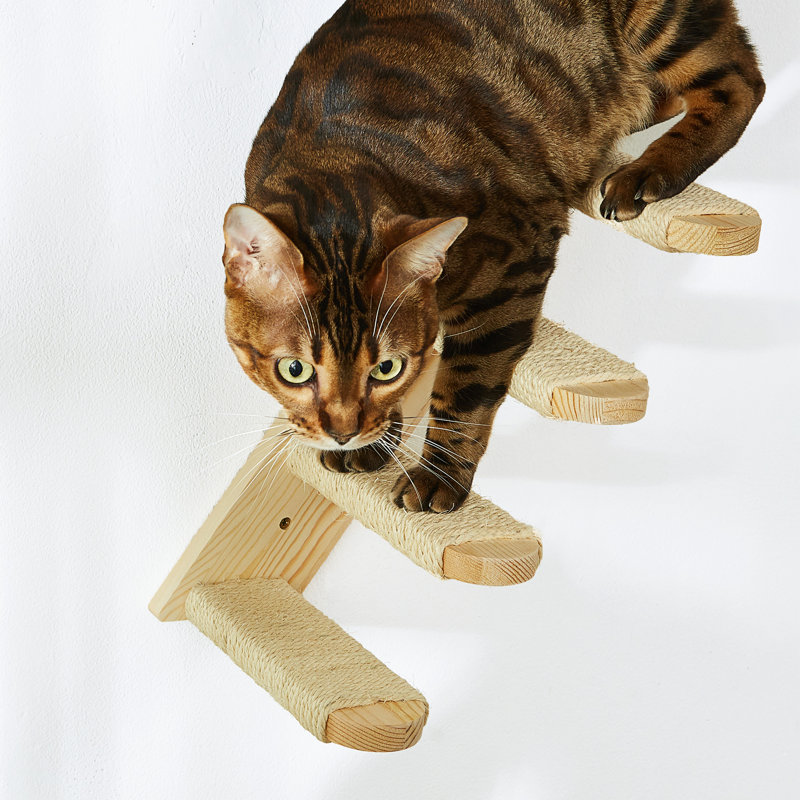 Ensemble d'escaliers muraux pour chat, échelle pour chat en bois de pin avec corde en sisal, tablettes d'escalade peu encombrantes pour chats