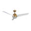 Thalia Smart LED Downrod Ceiling Fan-443934040-443934041