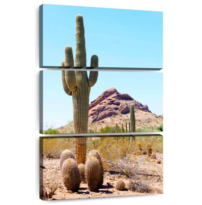 Harnek The Giant Cactus, 32" H x 20" W