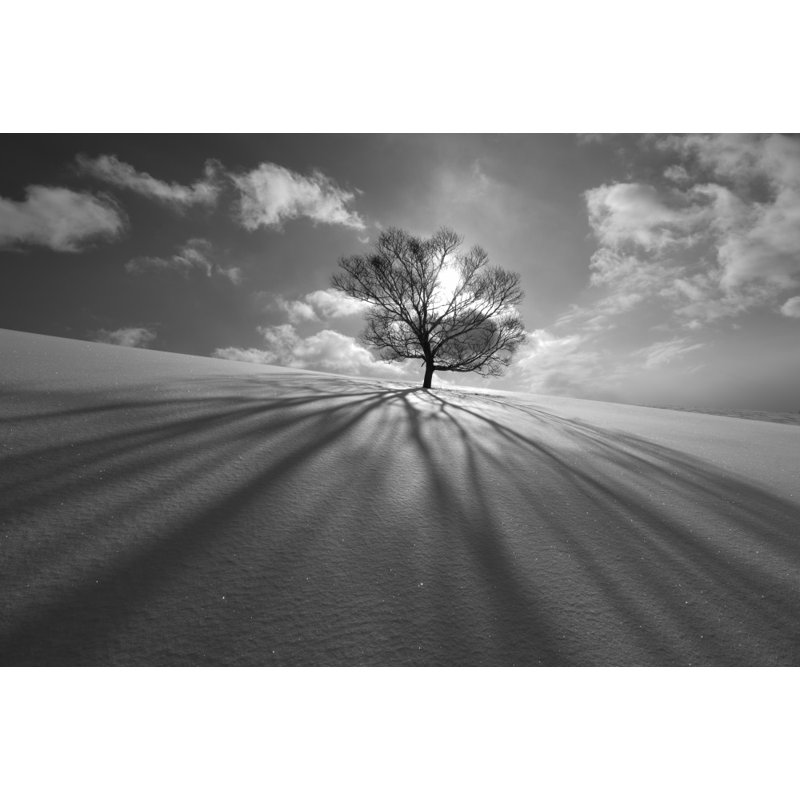 Wrapped Canvas Print, 91.44 cm H x 60.96 cm W