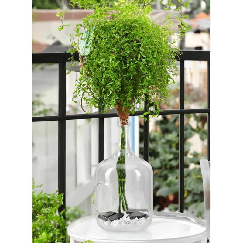 Vase de table Oakpark