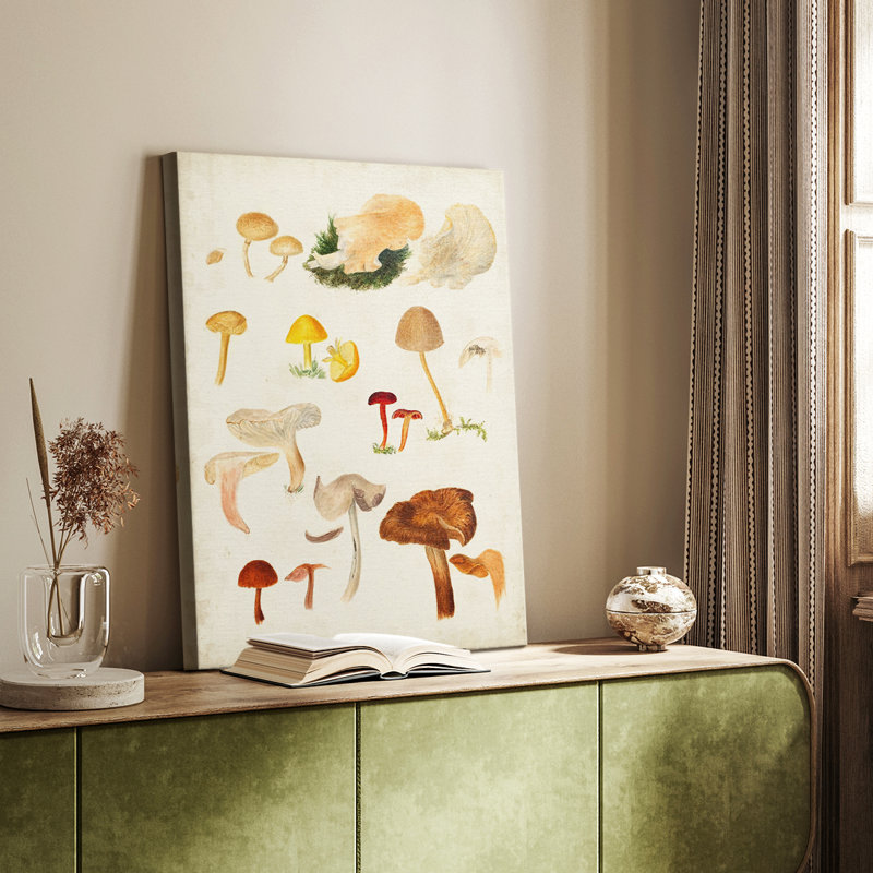 Mushroom Species douzième - galerie Cavas sur mesure, H 60 po x l 40 po