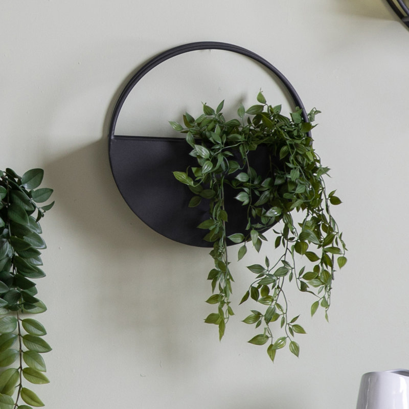 Vorodan Wall Planter